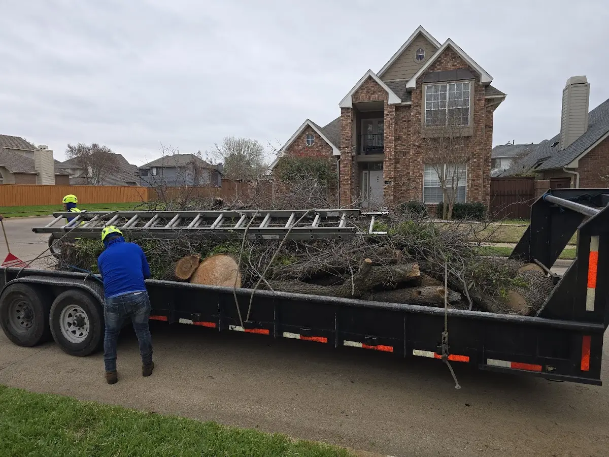 Expert Tree Fertilization with proper safety equipment in Moundville